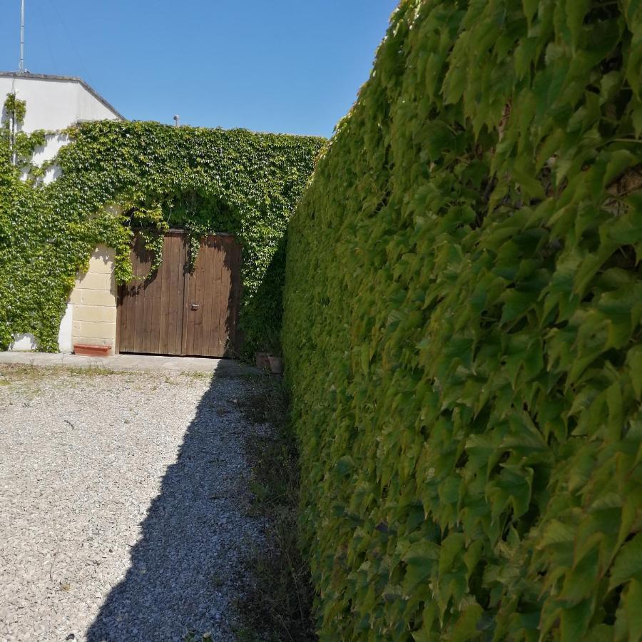 B&B Villasalento Le Cavallino di Lecce Exteriér fotografie